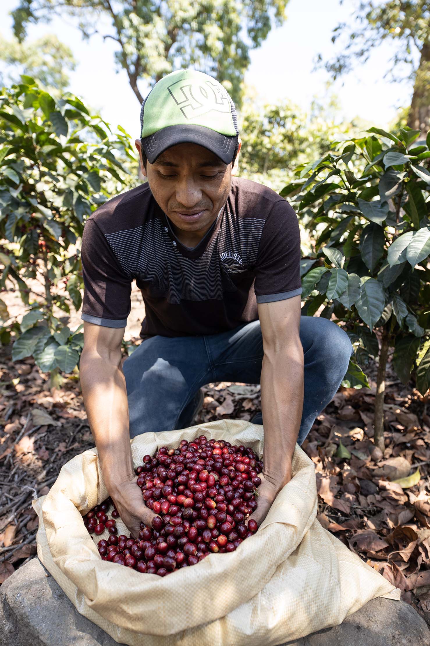 State of the Smallholder Coffee Farmer